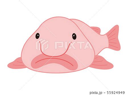 Image result for Missing One Positional Argument Python