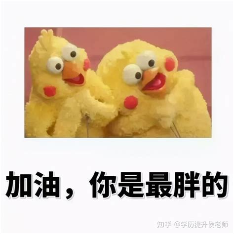 成人高考拿了本科毕业证，没有学位证，有影响吗？ - 知乎