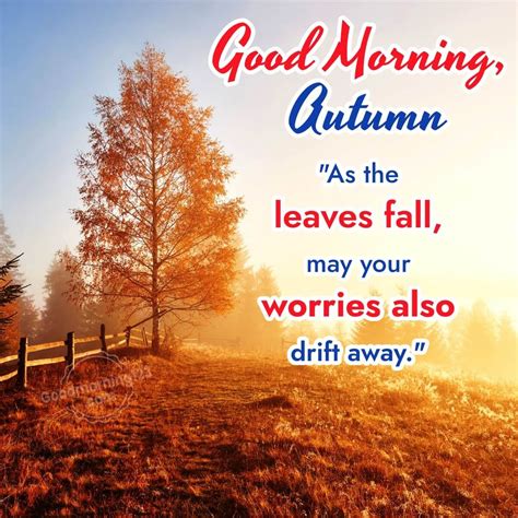 Autumn Good Morning