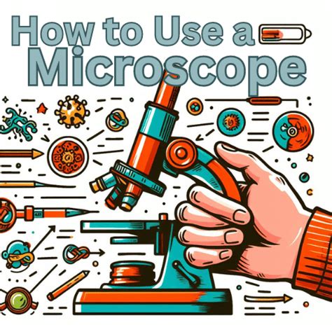 Basic Microscope Use 的图像结果