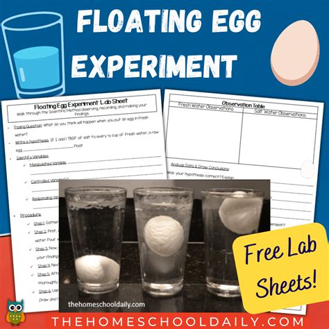 Image result for Floating House Experiment