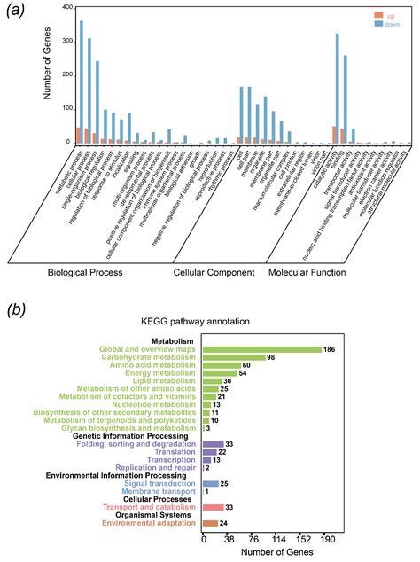 Transcriptome Analysis Provides Valuable Insights into Leaf Size ...