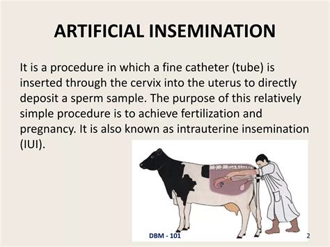 Importance of Artificial Insemination in Dairy Animals | PPTX