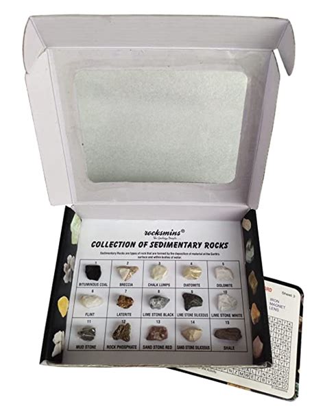 Buy rocksmins Sr15Wm Collection Set of 15 Sedimentary Rocks for School ...
