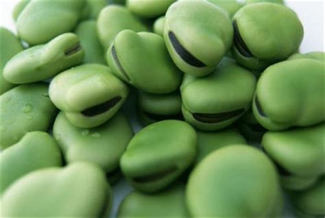 吃蚕豆对身体有什么不好 - 鲜淘网