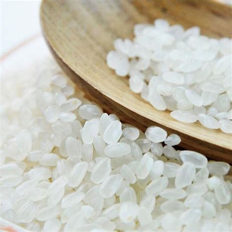 北大荒东北珍珠米 圆粒粳米新鲜大米5kg，善融商务个人商城仅售35.90元，价格实惠，品质保证-大米