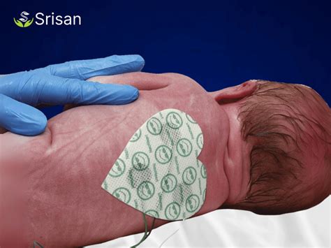 Products Page - Srisan