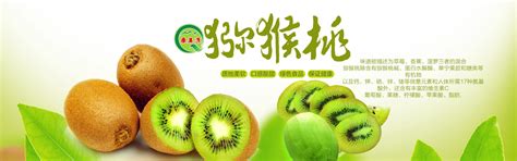 重庆黔江：猕猴桃成熟采收忙_中乡网