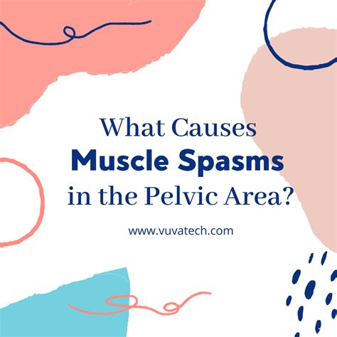 Pelvic Floor Muscle Spasm Causes - kitchencor