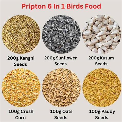 Birds - Buy Birds Online at Best Prices In India | Flipkart.com
