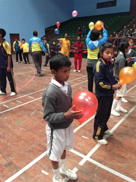 Badminton Racket and Shuttle 的图像结果