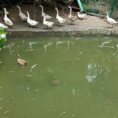 ANGONO FOREST PARK (2025) All You Need to Know BEFORE You Go (with ...