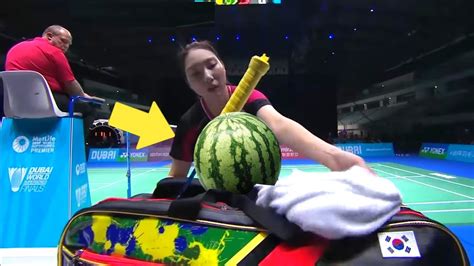 Badminton Funny Images 的图像结果