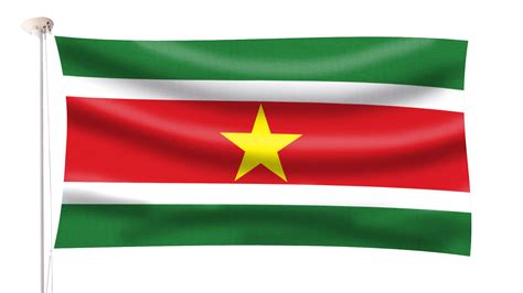 Suriname National Flag Suriname Flag Waving Vector Illustration On