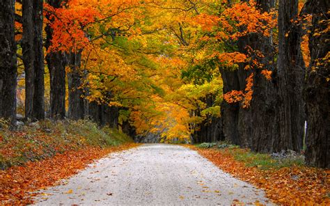 Image result for Autumn Homework EYFS