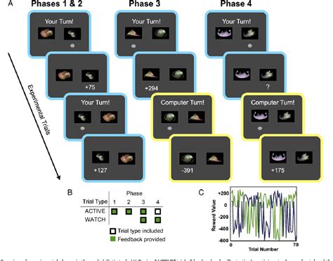 Image result for Prefrontal Cortex Damage
