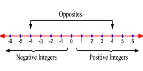 Image result for Positive Integers Example