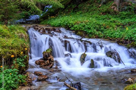 Water Spring Scenery 的图像结果