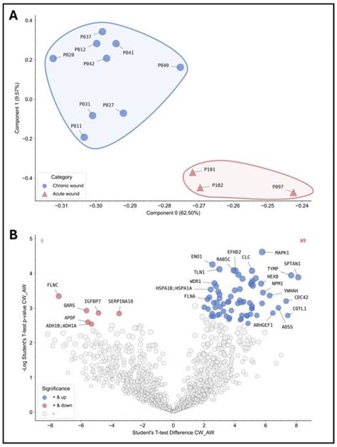 Assessment and Monitoring of the Wound Micro-Environment in Chronic ...