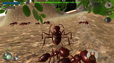 Image result for Ant Simulation JavaScript