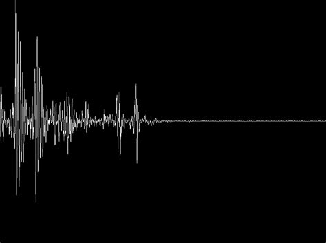 Waveforms 的图像结果