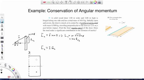 Angular Momentum Examples 的图像结果