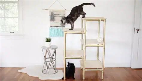 PVC Cat Tree 的图像结果