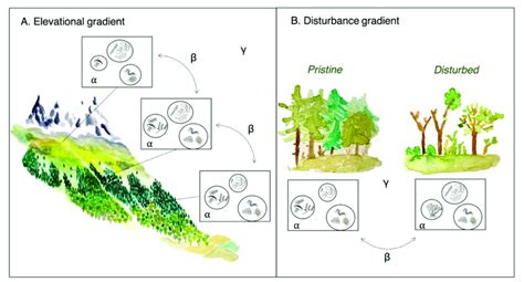 Image result for Environmental Gradient