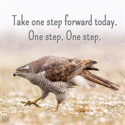 Image result for First Step Forward Image