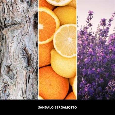 Millefiori pałeczki 100ml SANDALO BERGAMOTTO | home&you