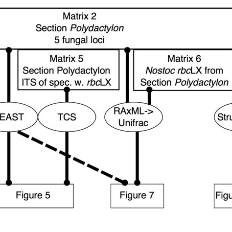 Matrices Flowgorithm 的图像结果