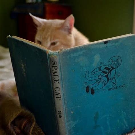 Image result for Erny Module