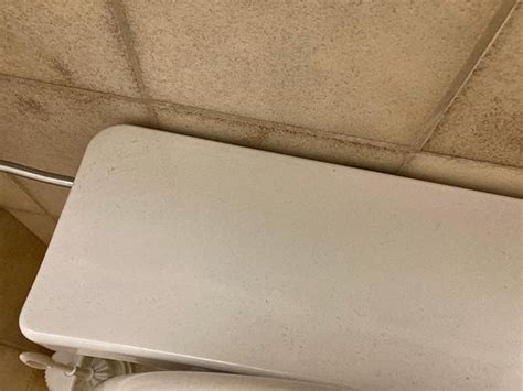 HOTEL GLOCKENSPIEL | THERME (Bad Griesbach im Rottal) - Hotel Reviews ...