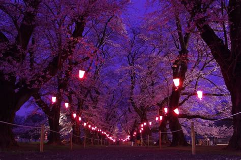 Korean wallpaper Images - Free Download on Freepik