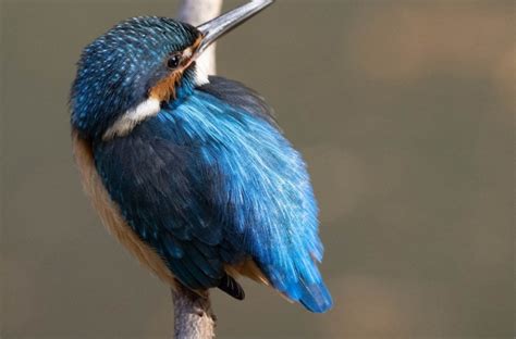 Extended Gamut Color Space 的图像结果