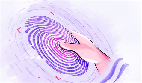 Top Biometrics Model 的图像结果