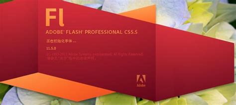 Adobe Flash（Fl）CS5.5软件安装包下载及安装教程 - 哔哩哔哩