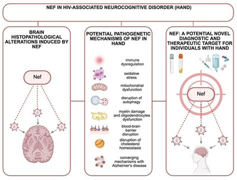 Multifaceted Role of Nef in HIV-Associated Neurocognitive Disorder ...