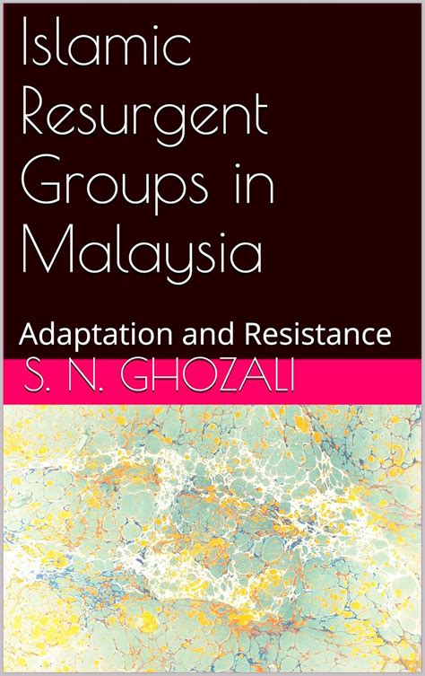 Islamic Resurgent Groups in Malaysia: Adaptation and Resistance eBook ...