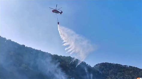 西昌森火救援进展：6架直升机起飞扑火，7架跨省增援 - 西部网（陕西新闻网）
