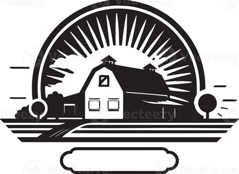 Write 的图像结果