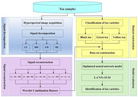 Tea Category Identification Using Wavelet Signal Reconstruction of ...