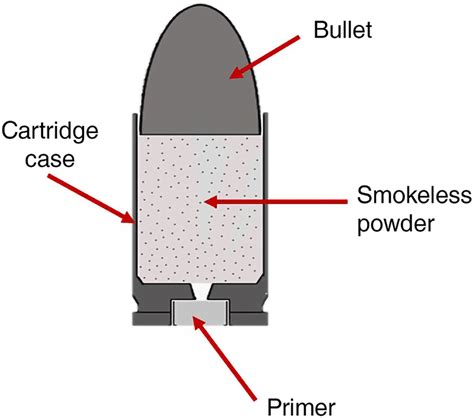 The relevance of gunshot residues in forensic science - Minzière - 2023 ...