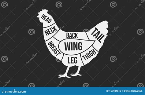 Cuts Of Chicken. Meat Cuts. Chicken Silhouette Isolated On Black ...