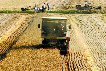 河南省人民政府门户网站 豫南小麦收割全面展开