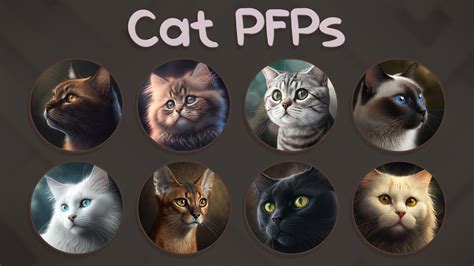 Image result for Rust Cat PFP