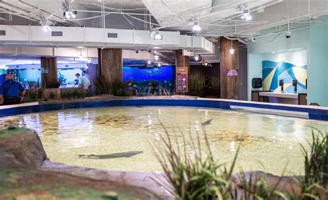 Georgia Aquarium Calendar