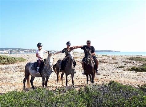 Hyperthermia of horses!!! - Reviews, Photos - Thanasis Farm - Tripadvisor
