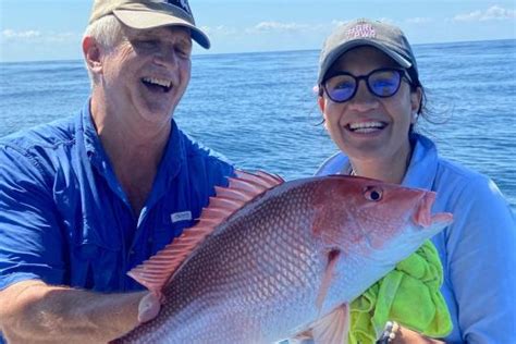 Image result for Red Nose Snapper