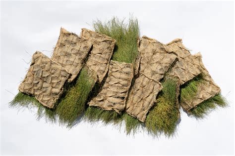 Natural Textiles 的图像结果